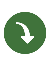 2-Nov-12-2025-01-31-15-8116-PM